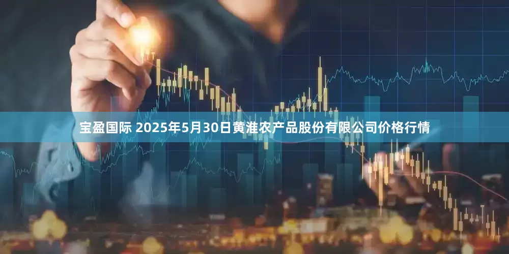 宝盈国际 2025年5月30日黄淮农产品股份有限公司价格行情