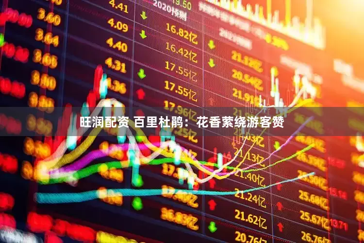 旺润配资 百里杜鹃：花香萦绕游客赞