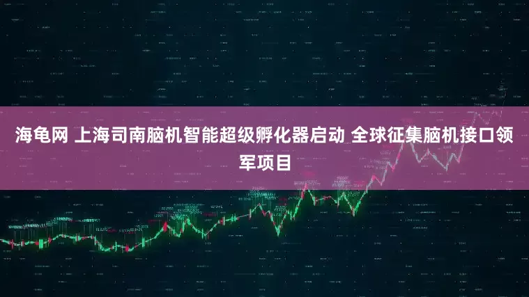 海龟网 上海司南脑机智能超级孵化器启动 全球征集脑机接口领军项目