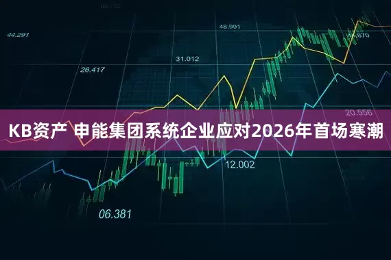 KB资产 申能集团系统企业应对2026年首场寒潮